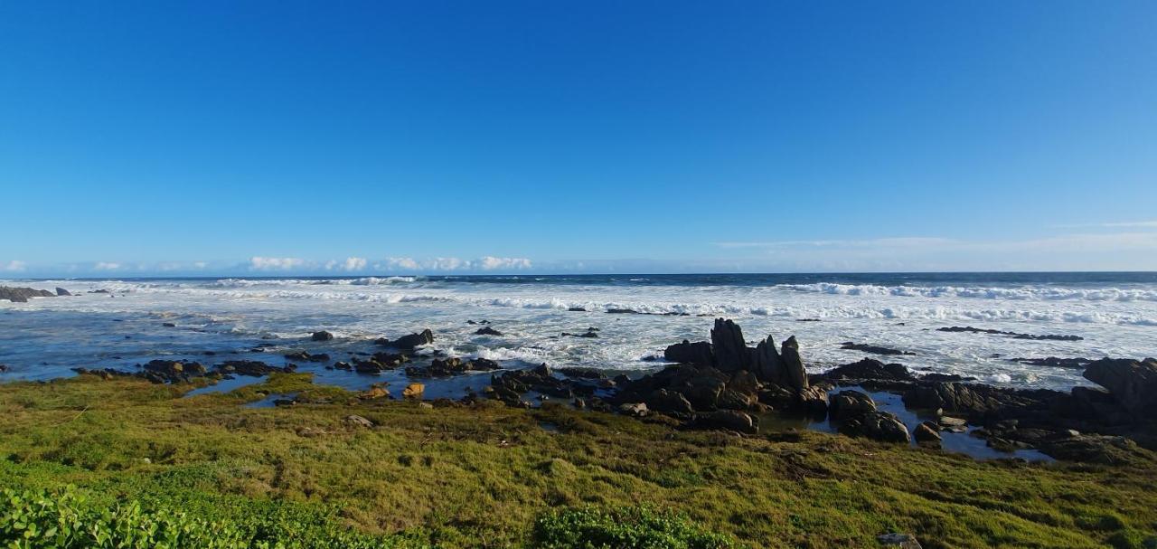 Beachview Guest Suites Port Elizabeth Esterno foto